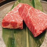 SATOブリアン - 
