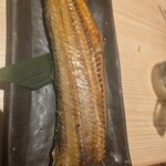 豊洲市場 さかな酒場 魚星 - 