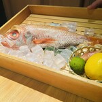 のどぐろ専門 銀座 中俣 - 