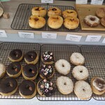 BLANKET DONUTS - 