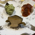尾乃道 - 