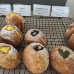 BLANKET DONUTS - 