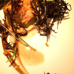 レフェルヴェソンス - 