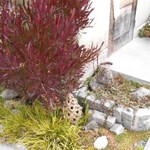 そば舎・中中 - 外観：小さなお庭