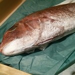 寿しの吉乃 - 真鯛