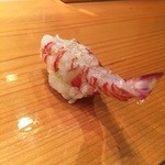 天寿し - えび！　活きてる浅茹なので跳てる。