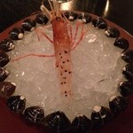 noma - 長野の森香るボタンエビ