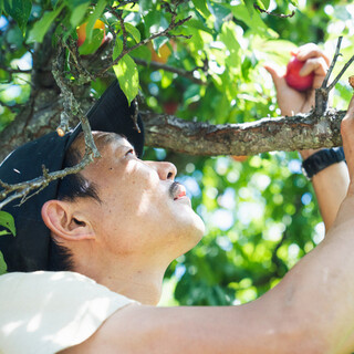 クチーナ サルヴェ - 料理写真: