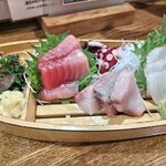 魚猫 - 