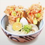 饂飩の四國 - 料理写真: