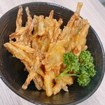 おこたまBASE - ごぼうのカリカリ揚げ