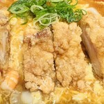手延べうどん 水山 - 竜田揚げ