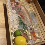 のどぐろ専門 銀座 中俣 - 