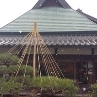 芹生 - 