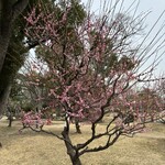 あみじま茶屋 - 