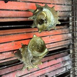マルナカ水産 - 