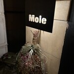 モール&ホソイコーヒーズ - 