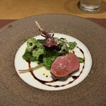 トレヴィーテ - 