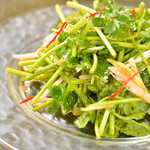 Spicy coriander salad with homemade chili oil and sansho oil