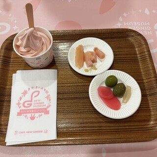 カフェ ニュージンジャー_1