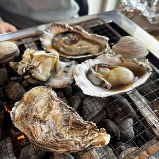 カキテラス波音_0