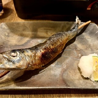 居酒屋 ちょーちょ_1