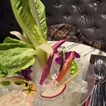 AW55 - 