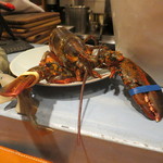 Ata - オマール海老！