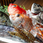 海鮮小屋 いさば - 料理写真:朝獲れ鮮魚
