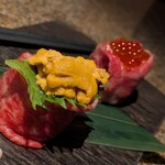 宇田川 紫扇 - 