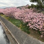 ホドホドBase - 料理写真: