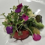 Ristorante Ecru - Antipasto 菜園　ortolana
