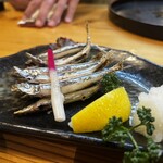 魚将　さかなちゃん - 