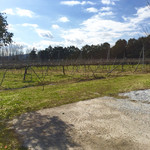 ラピュタファーム - 