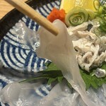 魚食処 一豊 - とらふぐ　厚めで大きめな切身