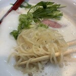 ふく流らーめん 轍 - 麺