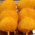 串カツ田中 - 料理写真: