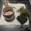 Veggie by y - 