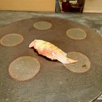 347053791 - 桜鯛