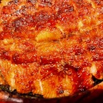 炭焼 うな富士 - 