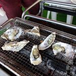オイスターガーデン蔵矢 - 糸島産牡蠣　1