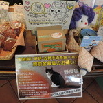 イルポンテ - コインを置くと箱の上部が開き、猫の手が伸びてきて、コインを箱の中に招き落とす仕掛けになっています。