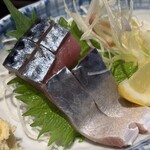 とろさば料理専門店 SABAR - 
