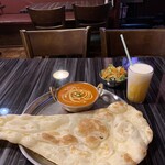 ニューナマステインディア - 