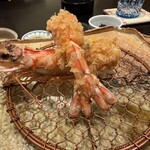subin - 