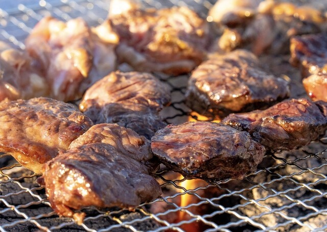 豊洲ぐるり公園手ぶらBBQ広場 （豊洲ぐるり公園手ぶらバーベキュー広場