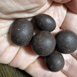 YOKOI CHOCOLATE - 