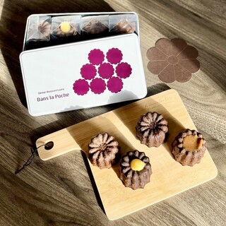 ダンラポッシュ_0