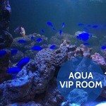 THE MODERN - AQUA VIP ROOM
