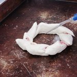 スゥ シエル - 2010/3 パン教室（中級）フランスパン3種